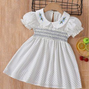 Baby Polka Dot Peter Pan Collar Puff Sleeve Shirred Flare Dress 3-6 Months (68)